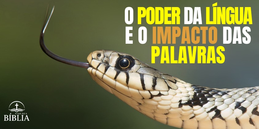 O Poder da Língua e o Impacto das Palavras